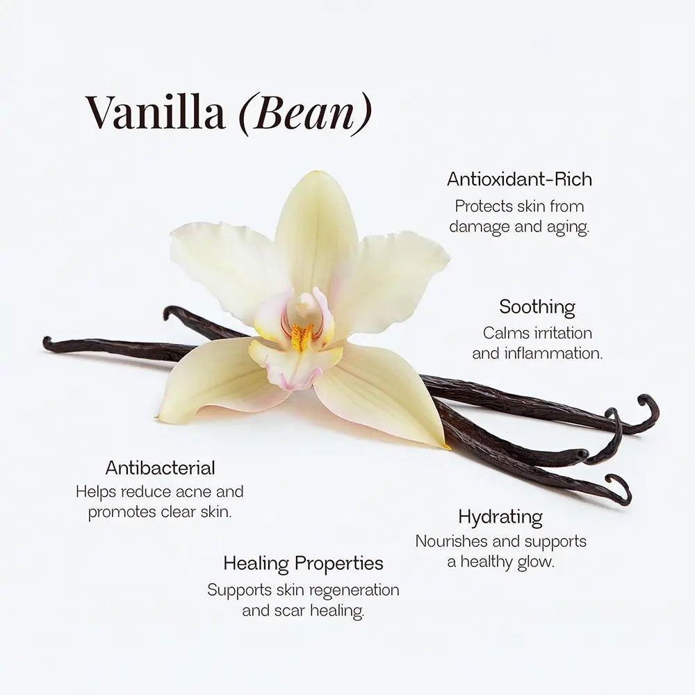 Whipped Grass-Fed Tallow Balm Snatched with Vanilla Bean🐄✨