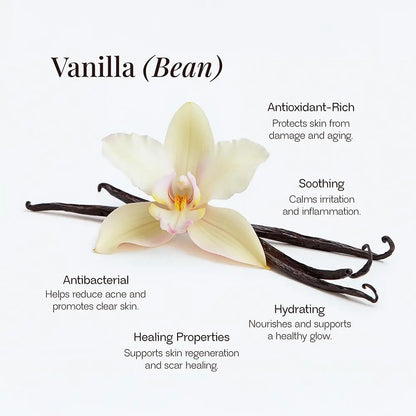 Whipped Grass-Fed Tallow Balm Snatched with Vanilla Bean🐄✨